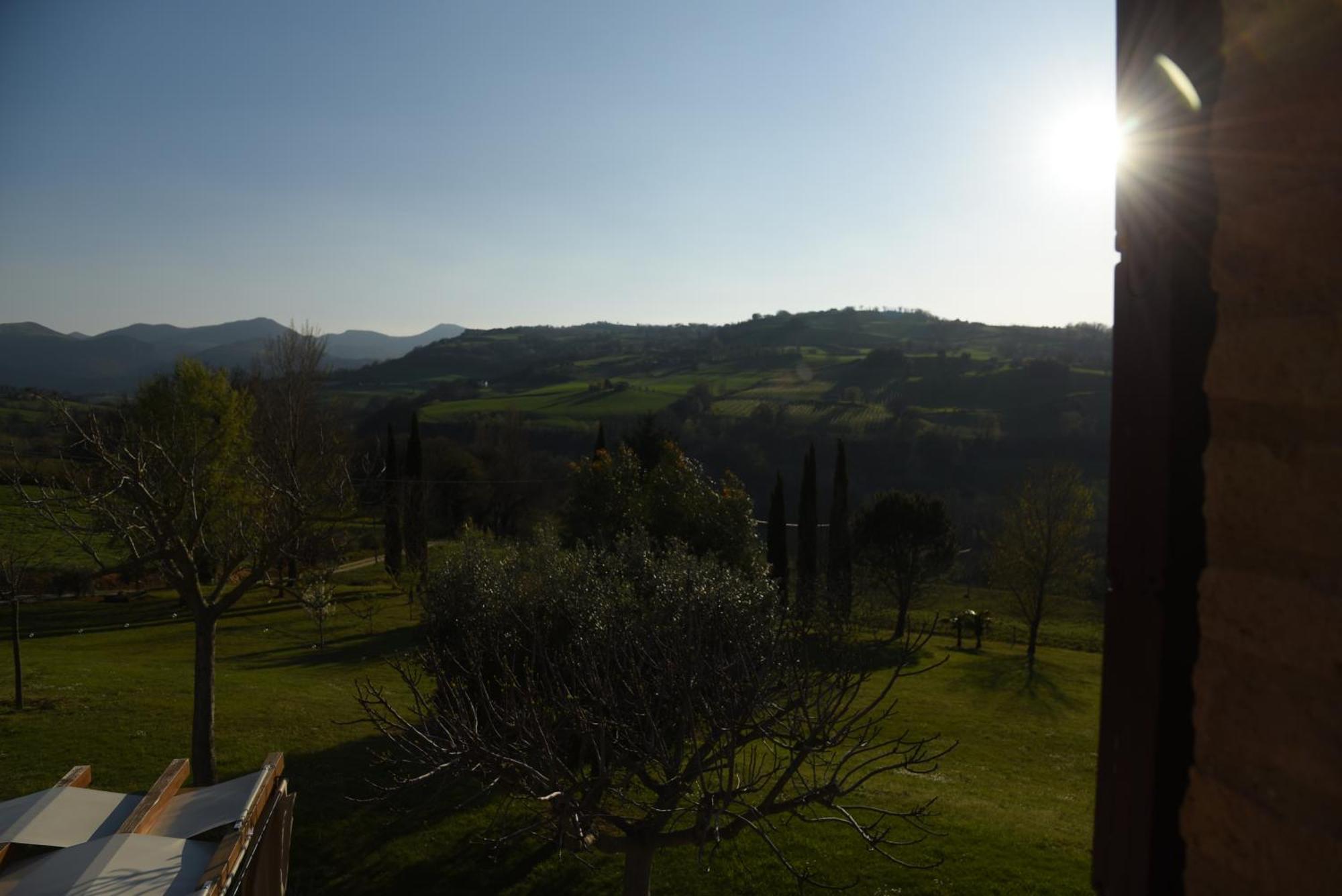 Quelli Del Picchio Bed & Breakfast Cupramontana Exterior photo