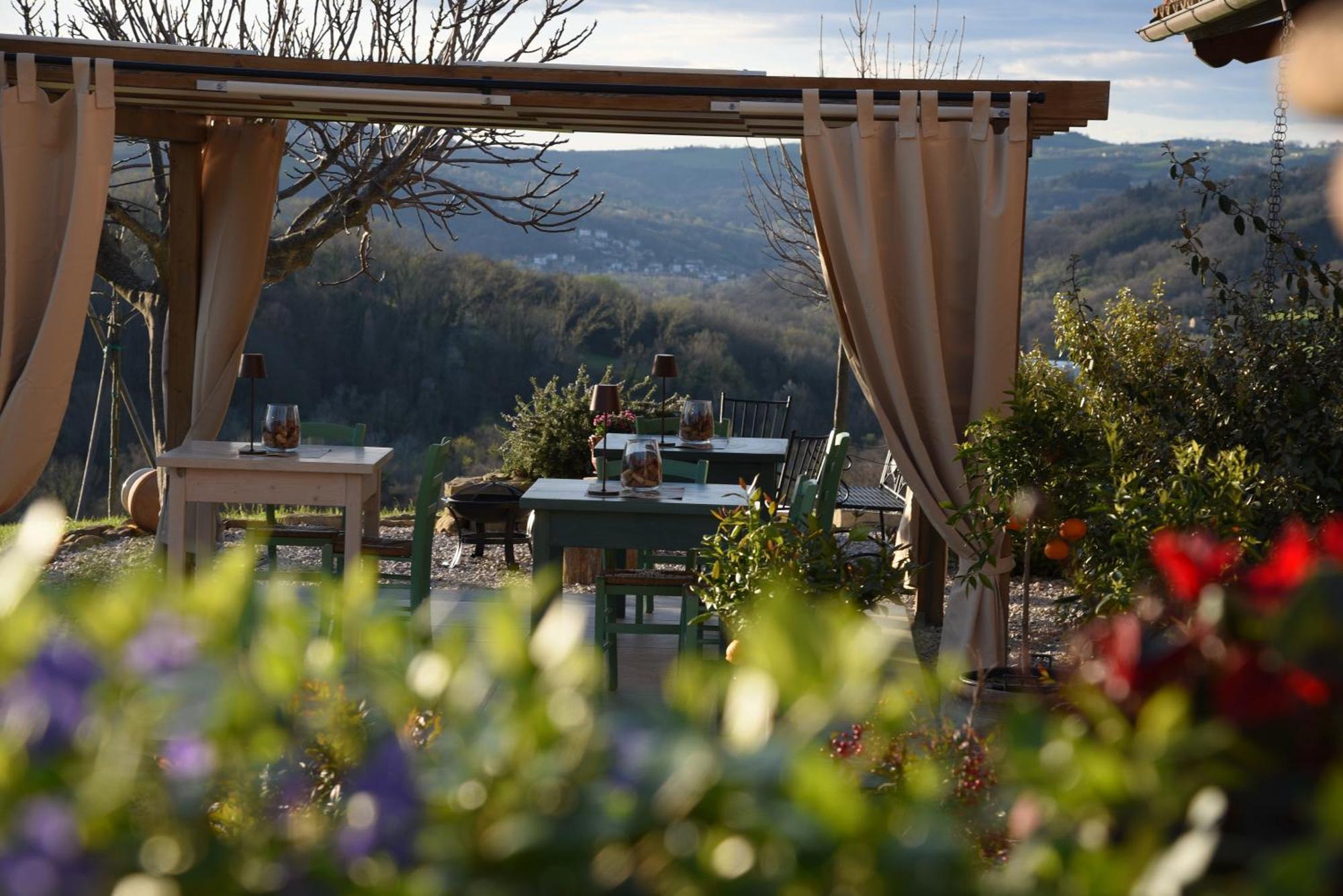 Quelli Del Picchio Bed & Breakfast Cupramontana Exterior photo
